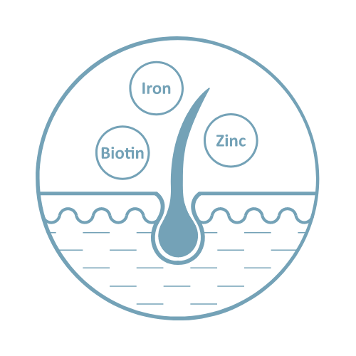 Icoon van haarfollikel in klinische context